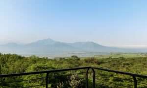 Uniknya Nasi Goreng Kopi & Grilled Chicken with Barbeque Coffee Sauce Kreasi Sky View