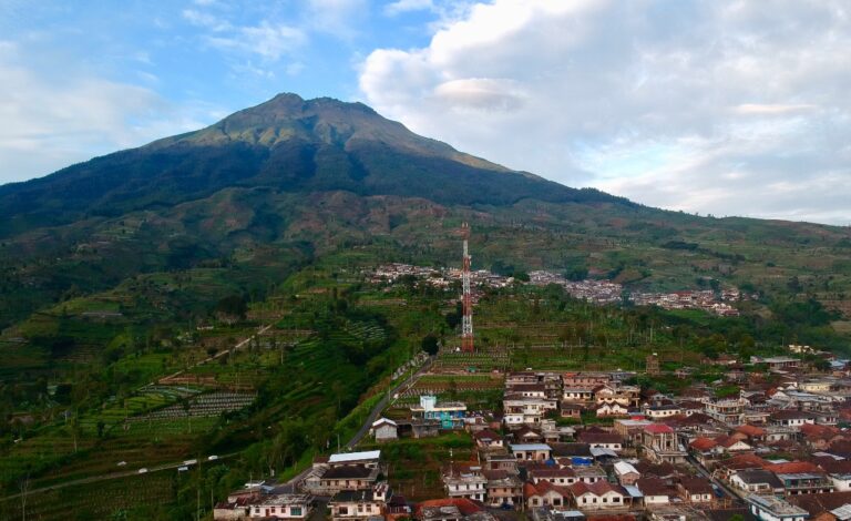 Desa Tlilir Membangun Kemandirian Desa Menjadi Kampung Mbako