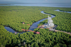 Menparekraf: Tower Mangrove Forest Park Langsa Ikon Pariwisata Baru di Aceh