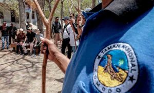 Kenaikan Tarif Masuk Kawasan TN Komodo untuk Biaya Konservasi Jasa EkosistemÂ 