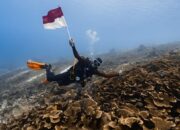 Kemenpar Perluas Pasar Wisata Selam Maratua ke Malaysia dan Singapura