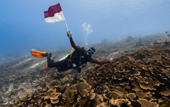 Kemenpar Perluas Pasar Wisata Selam Maratua ke Malaysia dan Singapura
