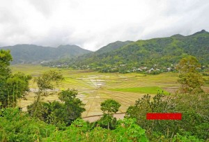Lodok Laba Laba Di Ruteng Yang Semakin Mendunia